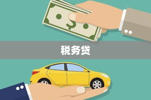 民雄税务贷