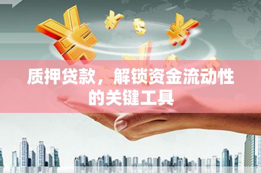 民雄质押贷款，解锁资金流动性的关键工具