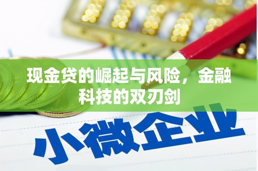 民雄现金贷的崛起与风险，金融科技的双刃剑