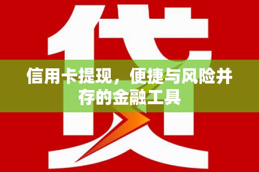 民雄信用卡提现，便捷与风险并存的金融工具