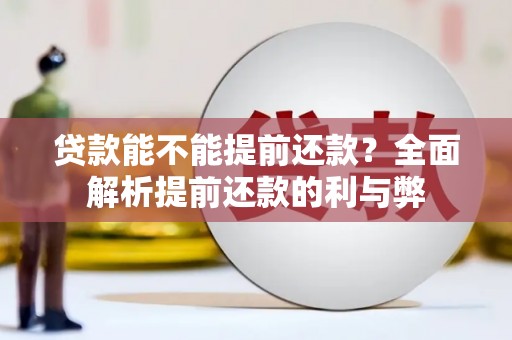 民雄贷款能不能提前还款？全面解析提前还款的利与弊