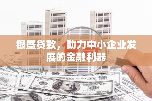 民雄银盛贷款，助力中小企业发展的金融利器