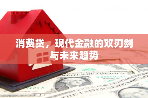 民雄消费贷，现代金融的双刃剑与未来趋势