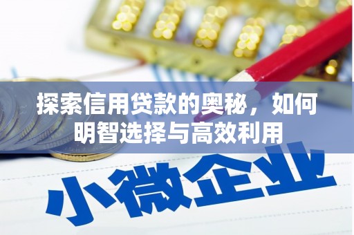 民雄探索信用贷款的奥秘，如何明智选择与高效利用
