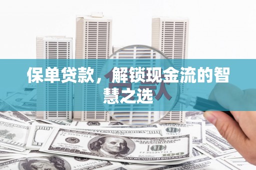 民雄保单贷款，解锁现金流的智慧之选