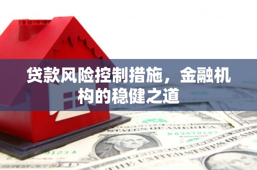 民雄贷款风险控制措施，金融机构的稳健之道