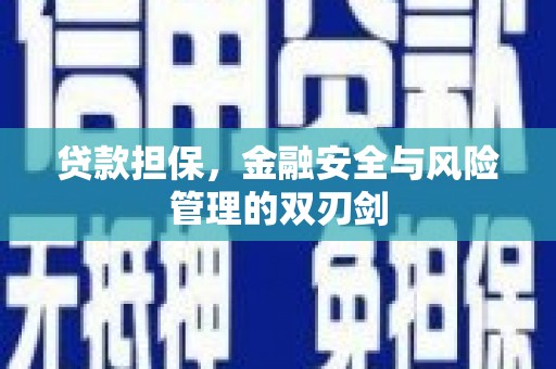 民雄贷款担保，金融安全与风险管理的双刃剑