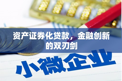 民雄资产证券化贷款，金融创新的双刃剑