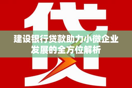 民雄建设银行贷款助力小微企业发展的全方位解析