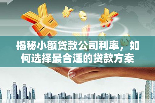 民雄揭秘小额贷款公司利率，如何选择最合适的贷款方案