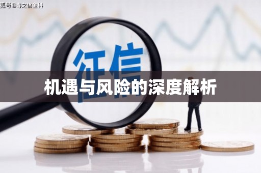 民雄机遇与风险的深度解析