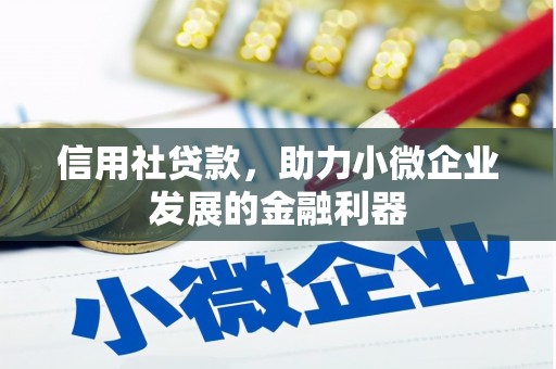 民雄信用社贷款，助力小微企业发展的金融利器