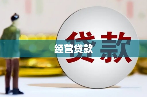 民雄经营贷款