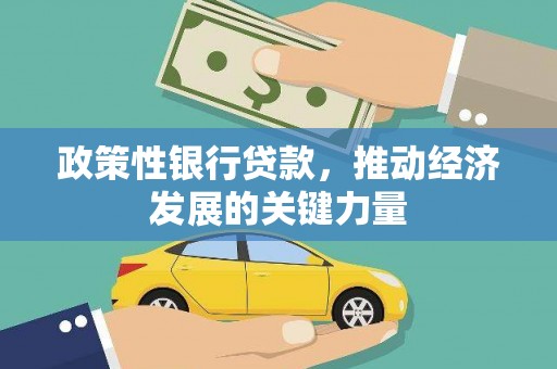 民雄政策性银行贷款，推动经济发展的关键力量