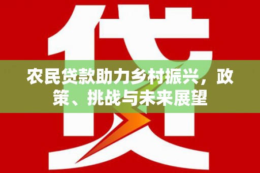 民雄农民贷款助力乡村振兴，政策、挑战与未来展望