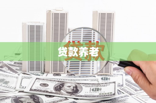 民雄贷款养老