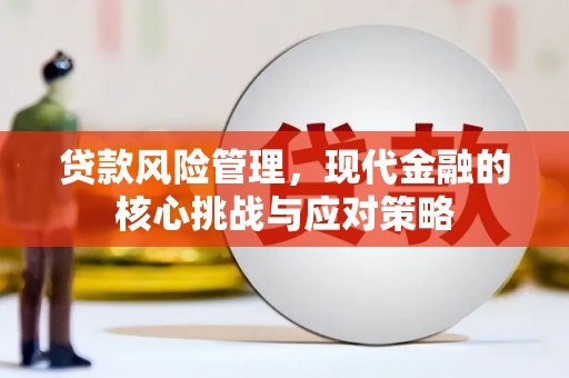民雄贷款风险管理，现代金融的核心挑战与应对策略