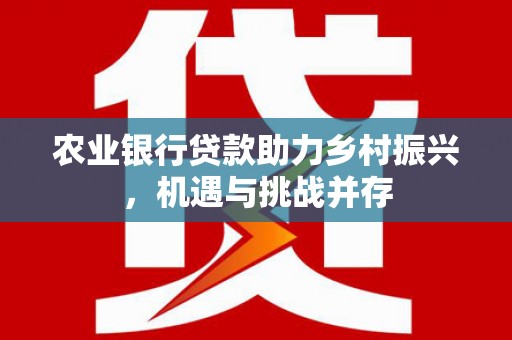 民雄农业银行贷款助力乡村振兴，机遇与挑战并存