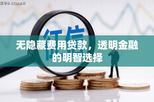 民雄无隐藏费用贷款，透明金融的明智选择