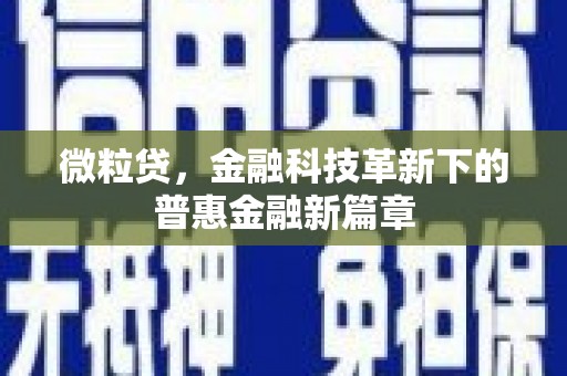 民雄微粒贷，金融科技革新下的普惠金融新篇章