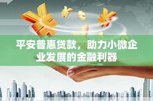 民雄平安普惠贷款，助力小微企业发展的金融利器