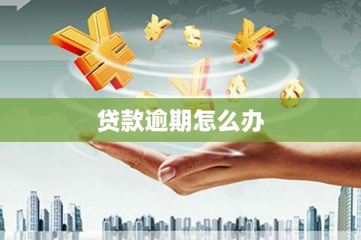 民雄贷款逾期怎么办
