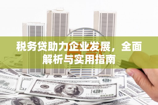 民雄税务贷助力企业发展，全面解析与实用指南