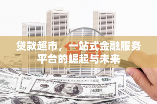 民雄贷款超市，一站式金融服务平台的崛起与未来