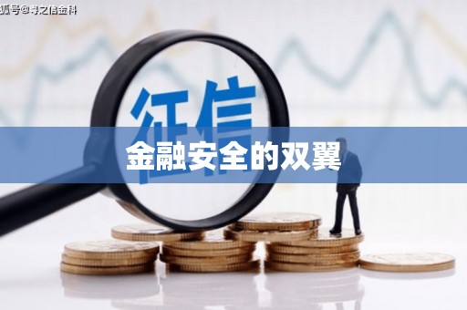 民雄金融安全的双翼