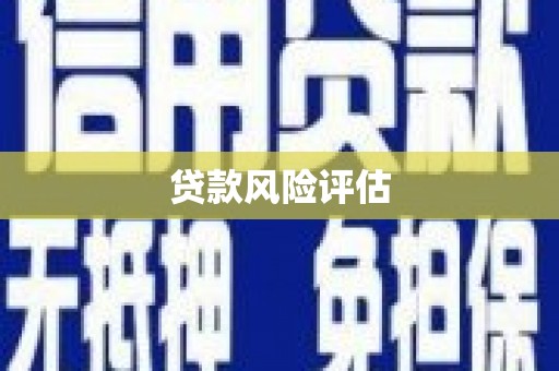 民雄贷款风险评估