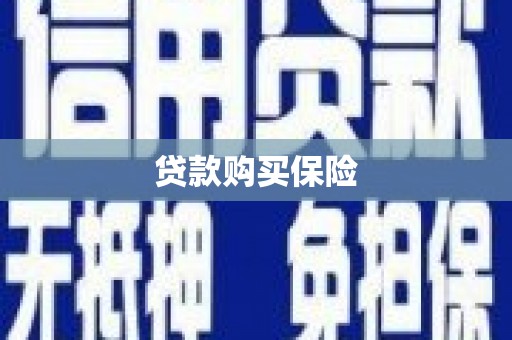 民雄贷款购买保险