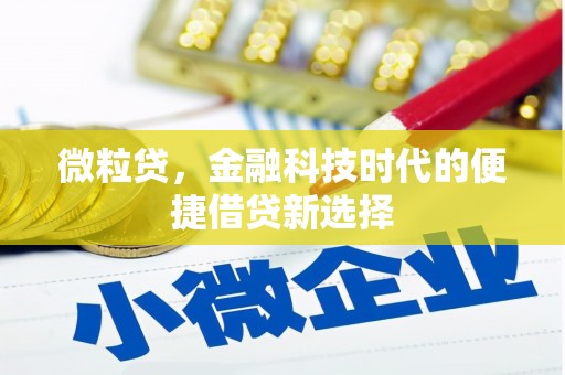 民雄微粒贷，金融科技时代的便捷借贷新选择