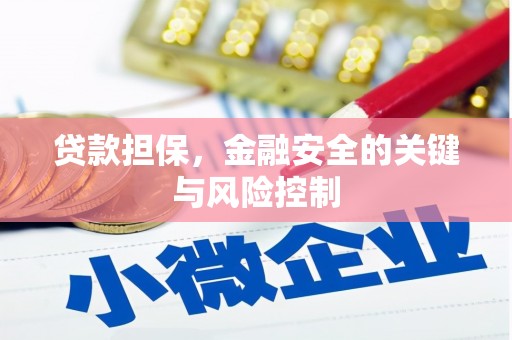 民雄贷款担保，金融安全的关键与风险控制