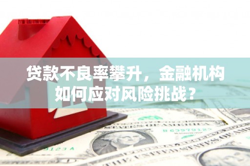 民雄贷款不良率攀升，金融机构如何应对风险挑战？
