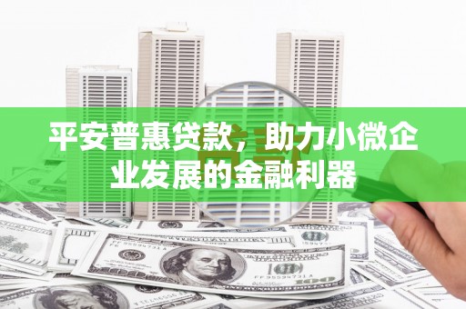 民雄平安普惠贷款，助力小微企业发展的金融利器