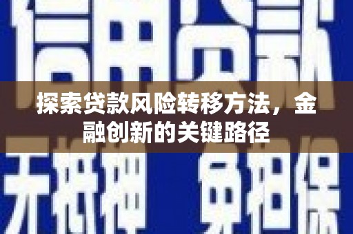 民雄探索贷款风险转移方法，金融创新的关键路径