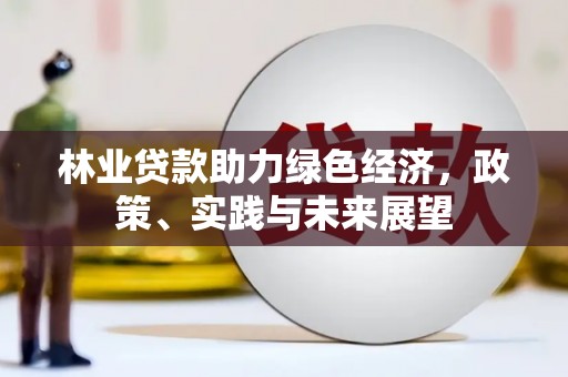 民雄林业贷款助力绿色经济，政策、实践与未来展望