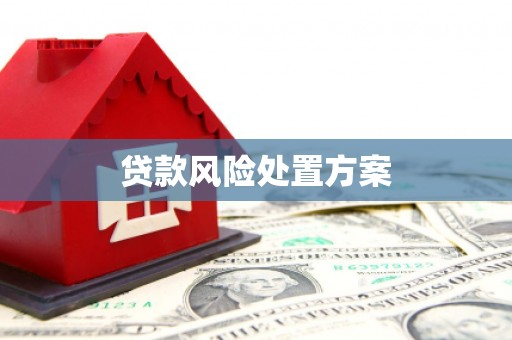 民雄贷款风险处置方案