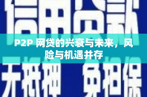 民雄P2P 网贷的兴衰与未来，风险与机遇并存