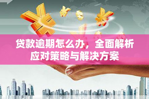 民雄贷款逾期怎么办，全面解析应对策略与解决方案
