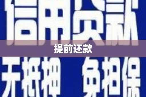 民雄提前还款