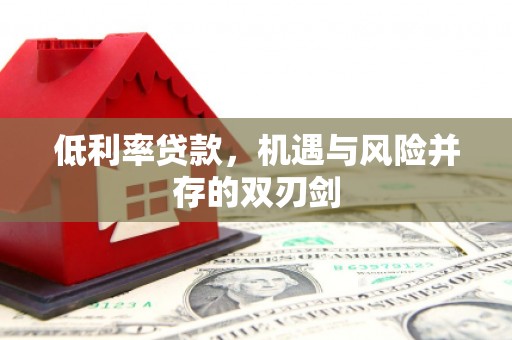 民雄低利率贷款，机遇与风险并存的双刃剑