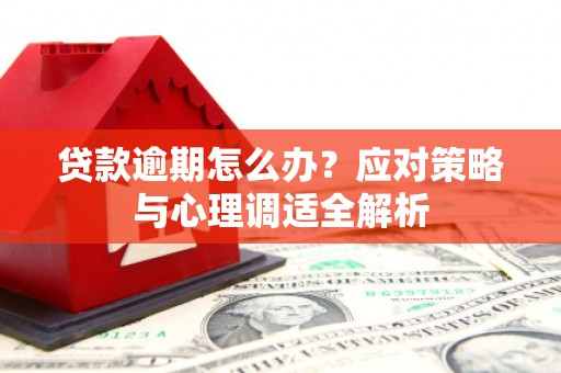 民雄贷款逾期怎么办？应对策略与心理调适全解析