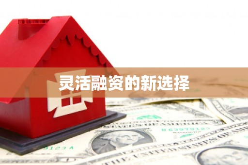 民雄灵活融资的新选择