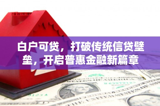 民雄白户可贷，打破传统信贷壁垒，开启普惠金融新篇章