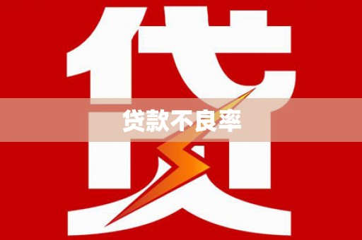 民雄贷款不良率