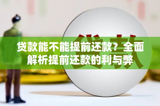 民雄贷款能不能提前还款？全面解析提前还款的利与弊