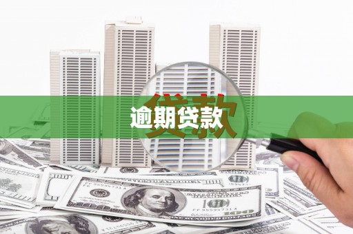 民雄逾期贷款