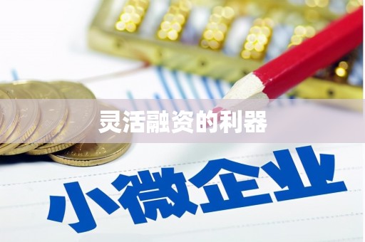 民雄灵活融资的利器