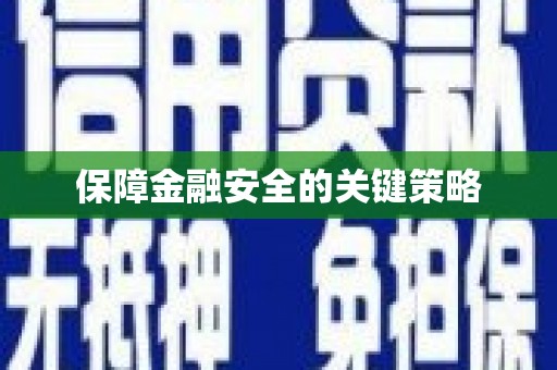 民雄保障金融安全的关键策略
